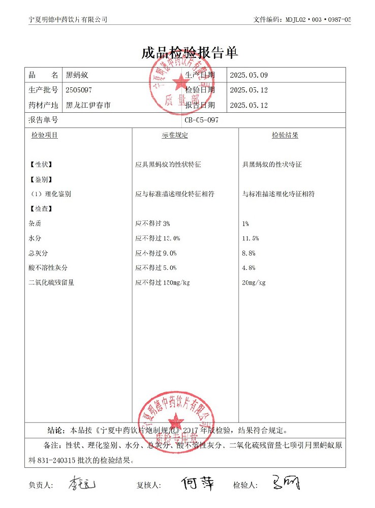 2505097黑螞蟻.jpg